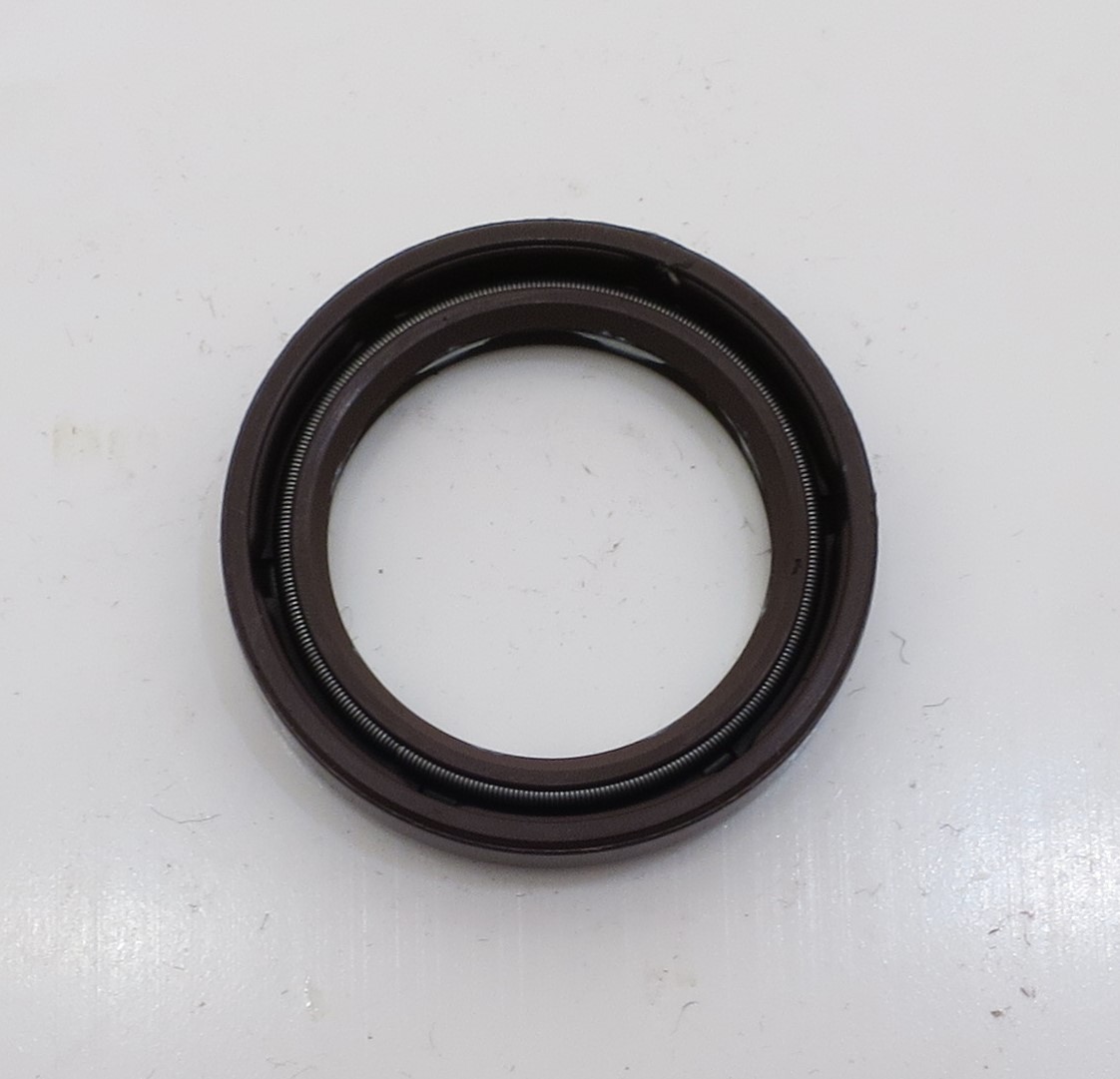 AA10V SHAFT SEAL  FOR 00969391
