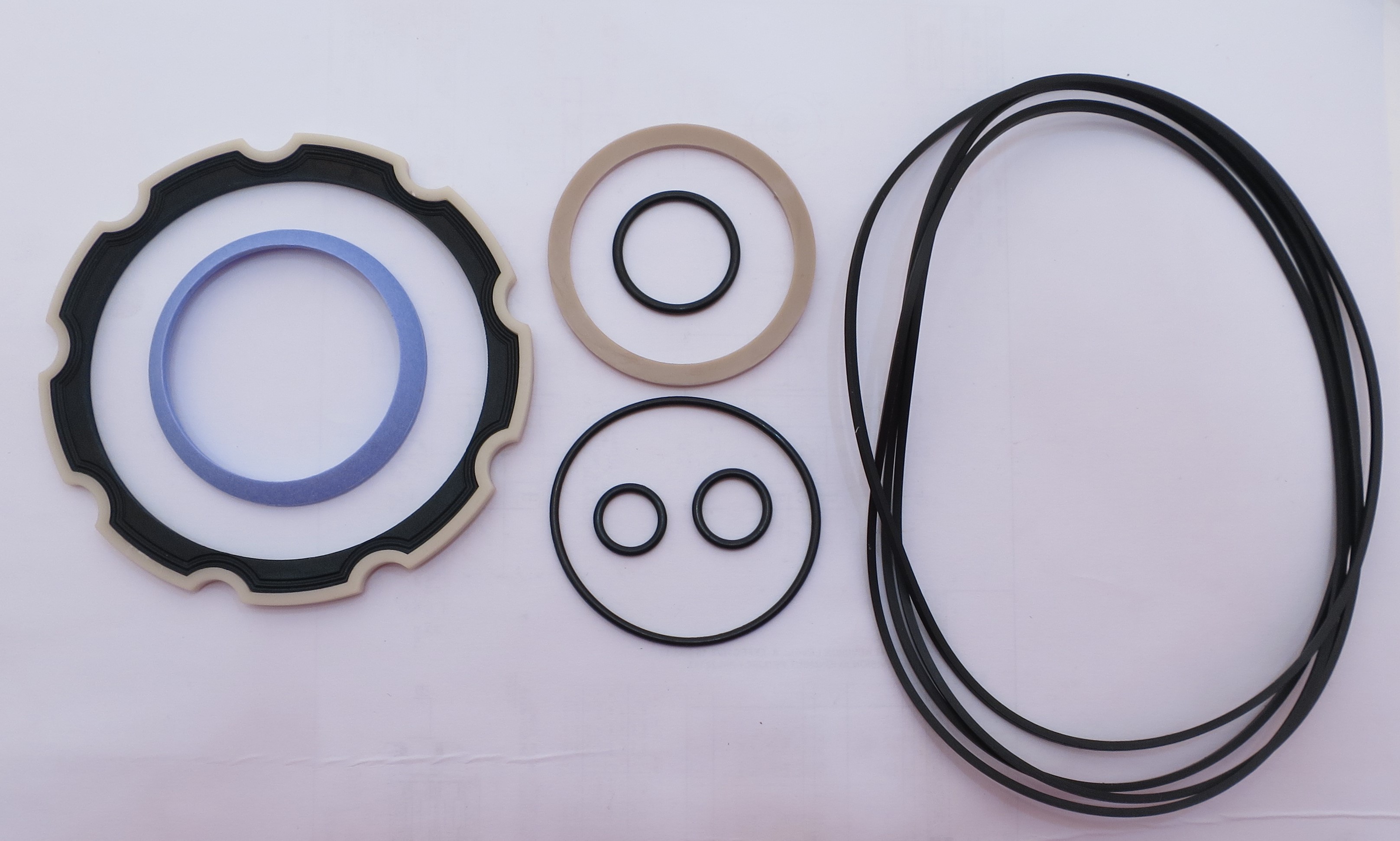 6CM/VA01 CHARLYNN 'VIS30' SERIES SEAL KIT White House Products, Ltd