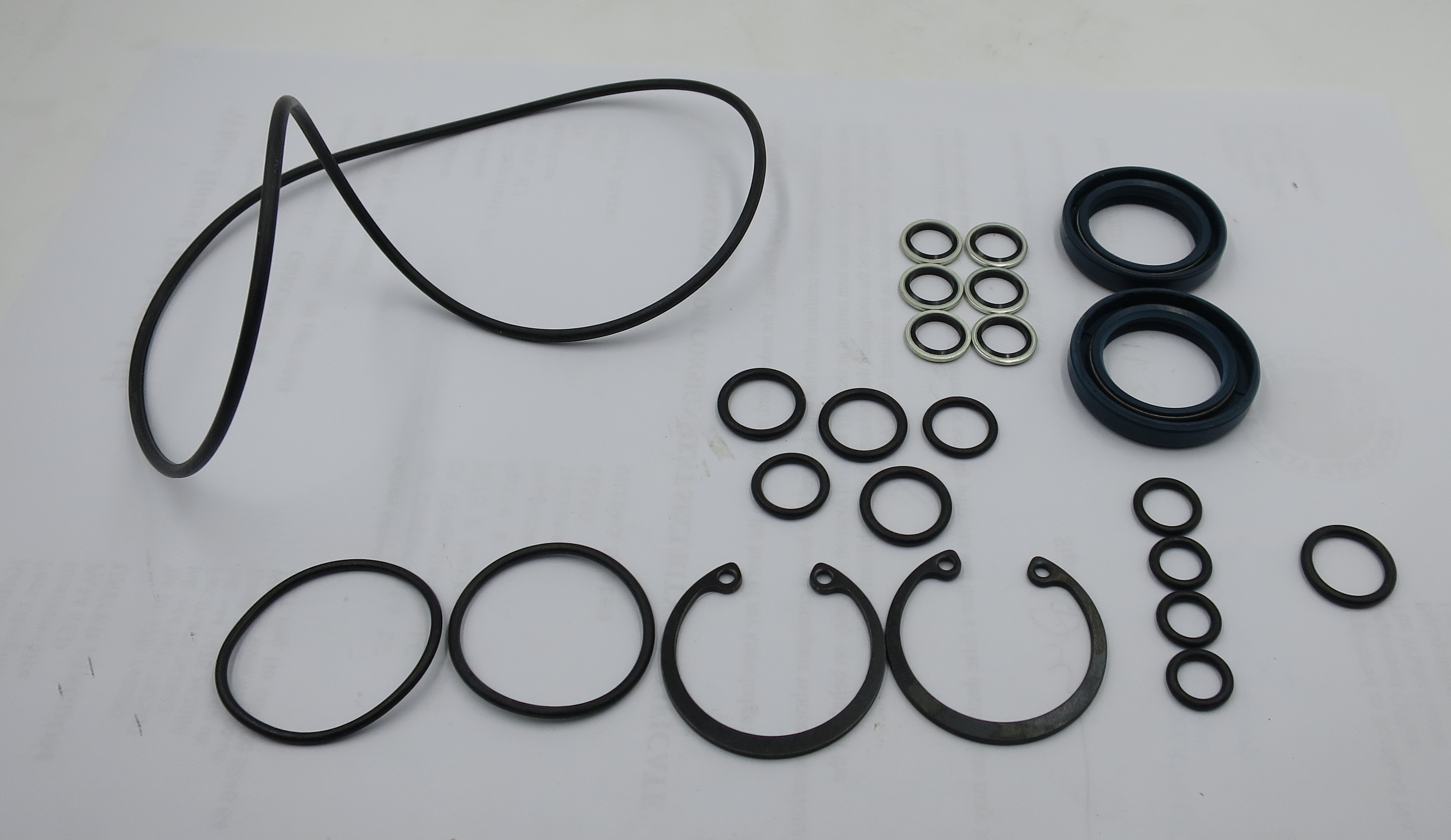 Seal Kit SPX Power Team 300147 Nitrile For C251C Series Hydraulic ...