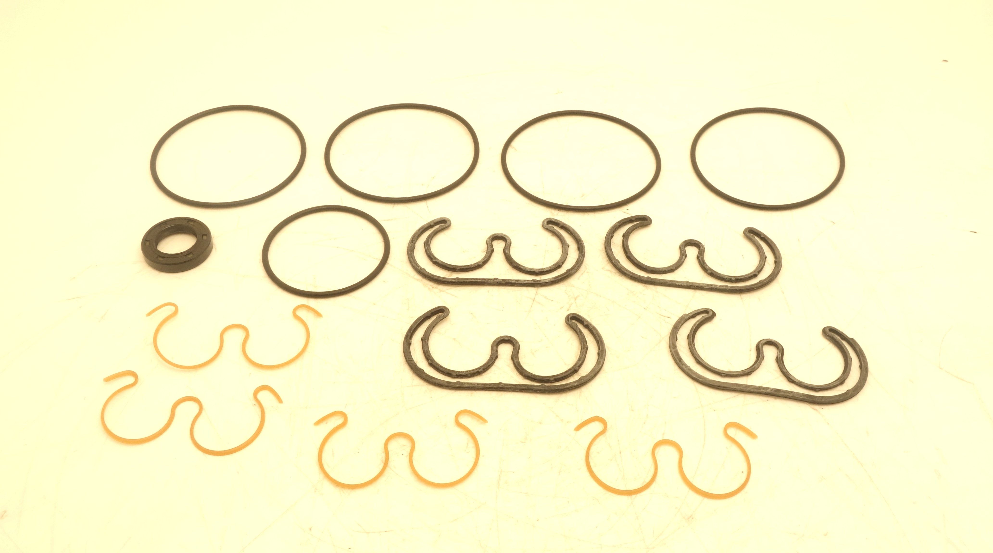 SNP2 STANDARD TANDEM PUMP SEAL KIT White House Products, Ltd