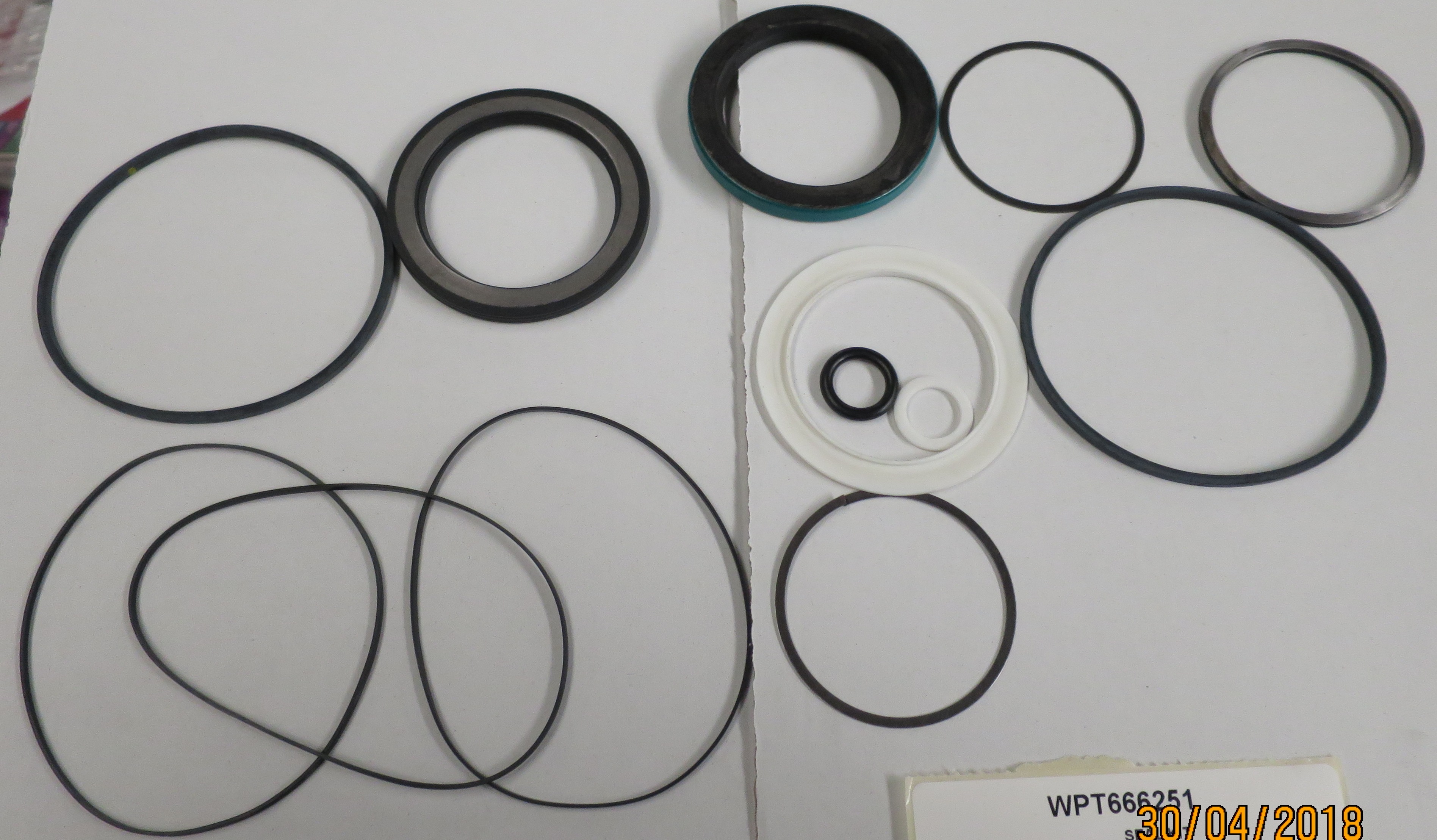WPT666251 - DT 700 SERIES MOTOR SEAL KIT - White House Products, Ltd